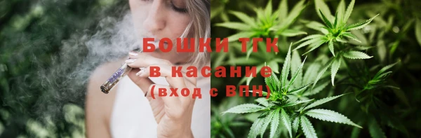 СК Алексин