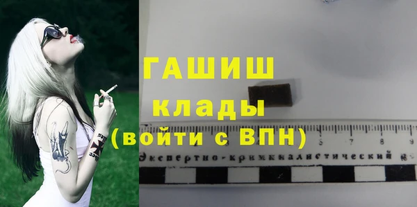 прущие грибы Алзамай