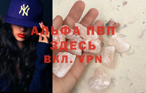 СК Алексин