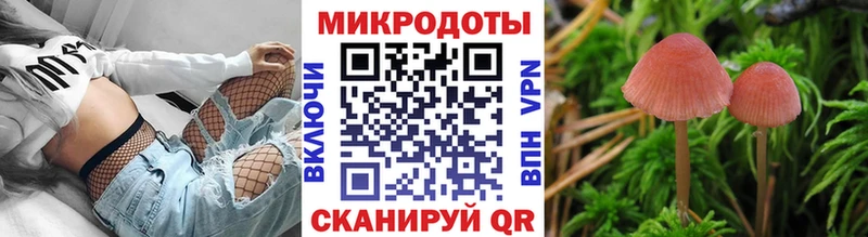 мориарти клад  ОМГ ОМГ ССЫЛКА  Галлюциногенные грибы Psilocybine cubensis  Инта  где продают наркотики 