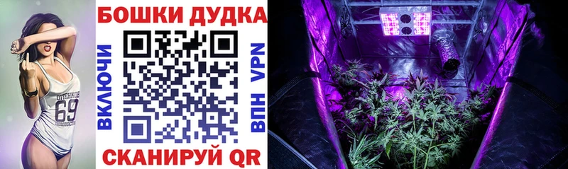 продажа наркотиков  Инта  KRAKEN ТОР  Шишки марихуана VHQ 